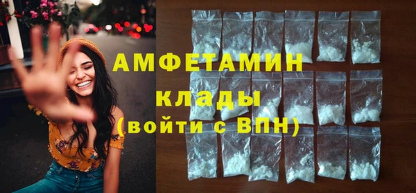 индика Абинск