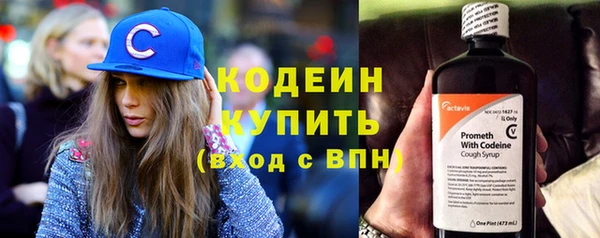 индика Абинск